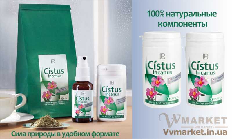 Купить Капсулы Cistus Incanus ладанник и мята (с витаминами), набор, 2х60 капсул, LR с доставкой Киев, Авдеевка, Акимовка, Александрия, Александровка, Александровка, Алупка, Алушта,   Алчевск, Амвросиевка, Антрацит, Апостолово, Арбузинка, Армянск, Артемовск, Арциз, Ахтырка, Балаклея, Балта, Бар, Барановка, Барвенково, Барышевка,   Бахмач, Бахчисарай, Баштанка, Белая Церковь, Белгород-Днестровский, Беловодск, Белогорск, Белогорье, Белозерка, Белополье, Беляевка, Бердичев,   Бердянск, Берегово, Бережаны, Березанка, Березино, Березовка, Берислав, Бершадь, Близнюки, Бобринец, Бобровица, Богодухов, Богуслав, Болград,   Болехов, Борзна, Борислав, Борисполь, Боровая, Бородянка, Борщев, Боярка, Бровары, Броды, Брусилов, Брянка, Бузуков, Бурштын, Бурынь, Буск, Бучач,   Валки, Варва, Васильевка, Васильков, Васильковка, Великая Белозерка, Великая Новоселка, Верхнеднепровск, Верхов, Верховина, Веселиново, Веселое,   Вижница, Винница, Виноградов, Виньковцы, Вишневое, Владимир-Волынский, Владимирец, Вознесенск, Волноваха, Воловец, Володарка, Володарское,   Волочиск, Волчанск, Вольногорск, Вольнянск, Врадиевка, Высокополье, Вышгород, Гадяч, Гайворон, Гайсин, Галич, Гаспра, Геническ, Герца, Глеваха,   Глобино, Глухов, Глыбокая, Голая Пристань, Голованевск, Горловка, Горностаевка, Городенка, Городище, Городня, Городок, Горохов, Гоща, Гребенка,   Гуляйполе, Гурзуф, Гусятин, Двуречная, Дебальцево, Демидовка, Деражня, Дергачи, Джанкой, Дзержинск, Диканька, Днепродзержинск, Днепропетровск,   Днепрорудное, Доброполье, Добрянка, Докучаевск, Долина, Долинская, Доманевка, Донецк, Драбов, Дрогобыч, Дружковка, Дубно, Дубровица, Дунаевцы,   Евпатория, Еланец, Емильчино, Енакиево, Жашков, Желтые Воды, Жидачев, Житомир, Жмеринка, Жолква, Залещики, Запорожье, Заречное, Заставна,   Зачепиловка, Збараж, Зборов, Звенигородка, Згуровка, Здолбунов, Зеньков, Змиев, Знаменка, Золотоноша, Золочев, Ивано-Франковск, Ивановка, Иванычи,   Измаил, Изюм, Изяслав, Илларионово, Ильинцы, Ильичевск, Ирпень, Иршава, Ичня, Кагарлык, Казанка, Казатин, Каланчак, Калиновка, Калуш, Каменец-  Подольский, Каменка, Каменка-Бугская, Каменка-Днепровская, Камень-Каширский, Канев, Карловка, Катеринополь, Каховка, Кегичевка, Кельменцы, Керчь,   Киверцы, Киев, Килия, Кировоград, Кировск, Кировское, Кицмань, Кобеляки, Ковель, Кодыма, Козелец, Козельщина, Козова, Козятин, Коломак, Коломыя,   Компанеевка, Комсомольск, Конотоп, Константиновка, Кореиз, Корец, Короп, Коростень, Коростышев, Корсунь-Шевченковский, Корюковка, Косов,   Костополь, Котельва, Котовск, Краматорск, Красилов, Красноармейск, Красноград, Краснодон, Краснокутск, Красноперекопск, Краснополье, Красные Окны, Красный Лиман, Красный Луч, Кременчуг, Кривой Рог, Куйбышево, Кулиничи, Купянск, Ладыжин, Лисичанск, Лозовая, Лопатин, Лохвица, Лубны, Луганск,   Луцк, Львов, Люботин, Макеевка, Мангуш, Марганец, Мариуполь, Марьинка, Мелитополь, Мена, Мерефа, Миргород, Михайловка, Млинов, Могилев-Подольский, Молодецкое, Монастыриска, Монастырище, Моршин, Мостиска, Мукачево, Мурованые Куриловцы, Народичи, Недригайлов, Нежин, Немиров, Нетишин, Нижние Серогозы, Николаев, Никополь, Новая Каховка, Новая Одесса, Новая Ушица, Новгород-Северский, Новгородка, Новоазовск, Новоайдар, Новоархангельск, Нововолынск, Нововоронцовка, Новоград-Волынский, Новоднестровск, Новомиргород, Новомосковск, Новопсков, Новоселица,   Новотроицкое, Новоукраинка, Новояворовск, Новые Санжары, Новый Буг, Носовка, Обухов, Овидиополь, Овруч, Одесса, Онуфриевка, Оратов, Орджоникидзе, Орехов, Оржица, Острог, Очаков, Павлоград, Первомайск, Первомайский, Первомайское, Перевальск, Перемышляны, Перечин, Переяслав-Хмельницкий, Першотравенск, Першотравенск, Петрово, Петропавловка, Печенеги, Пирятин, Погребище, Подволочиск, Подгайцы, Полесское, Пологи, Полонное, Полтава, Попасная, Попельня, Приазовское, Прилуки, Приморск, Пустомыты, Путивль, Путила, Пятихатки, Радехов, Радомышль, Радывылив, Раздельная, Раздольное, Ракитное, Ратнов, Рахов, Репки, Решетиловка, Ровеньки, Ровно, Рогатин, Рожище, Рожнятов, Розовка, Романов, Ромны, Рубежное, Ружин, Саврань, Садовое, Саки, Самбор, Сарата, Сарны, Сахновщина, Свалява, Сватово, Свердловск, Светловодск, Севастополь, Северодонецк, Селидово, Семеновка, Семеновка, Середина-Буда, Симферополь, Синельниково, Скадовск, Сквира, Сколе, Славута, Славутич, Славяносербск, Славянск, Смела, Снежное, Снигиревка, Снятин, Сокаль, Сокиряны, Соленое, Сосница, Сосновка, Софиевка, Ставище, Старая Выжевка, Старая Синява, Старобельск, Старобешево, Старое село, Староконстантинов, Старый Самбор, Стаханов, Сторожинец, Стрый, Судак, Сумы, Счастье, Талалаевка, Тальное, Тараща, Тарутино, Татарбунары, Тельманово, Теофиполь, Теплик, Теребовля, Терновка, Тернополь, Тетиев, Тлумач, Токмак, Томаковка, Томашполь, Торез, Троицкое, Тростянец, Трускавец, Тульчин, Турийск, Турка,Тячев, Ужгород, Украинка, Ульяновка, Умань, Устиновка, Фастов, Феодосия, Фрунзовка,   Харцызск, Харьков, Херсон, Хмельник, Хмельницкий, Хорол, Хотин, Христиновка, Хуст, Харичанка, Цюрупинск, Олешки, Чаплинка, Чемеровцы, Червоноармейск, Черноморск, Червоноград, Черкассы, Черневцы, Чернигов, Черниговка, Черновцы, Черногородка, Черняхов, Чортков, Чугуев, Чутово,   Шаргород, Шахтерск, Шацк, Шепетовка, Широкое, Ширяево, Шишаки, Шостка, Шпола, Шумск, Щорс, Энергодар, Южноукраинск, Южный, Яворов, Яготин, Ялта, Ямполь, Яремча, Ярмолинцы, Ясиноватая, Украина, Россия, Казахстан